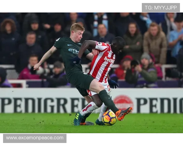 斯托克城足球俱乐部历史沿革与未来发展潜力探析