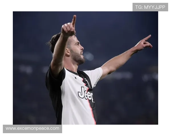 百年维罗纳俱乐部的荣耀传承与意甲征程新篇章城市精神与未来愿景