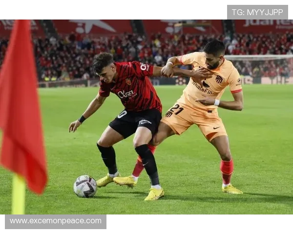 马略卡俱乐部迎来新赛季布局调整阵容力争联赛突破目标明确稳步提升竞争力